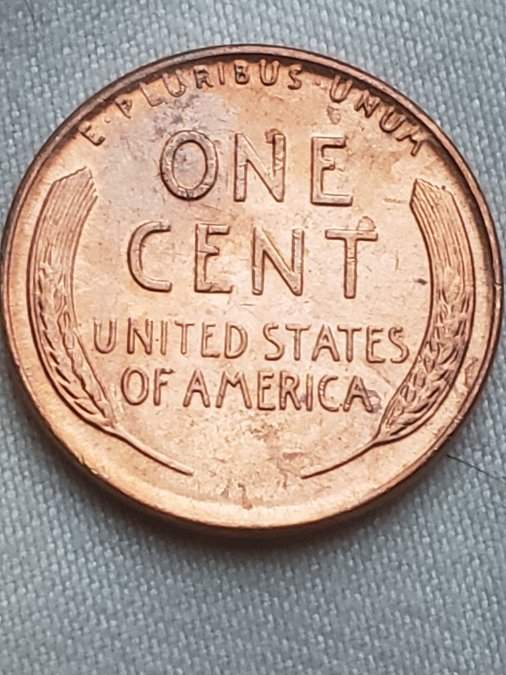 1954-P-LWC-Need-Help-With-Error-Identification