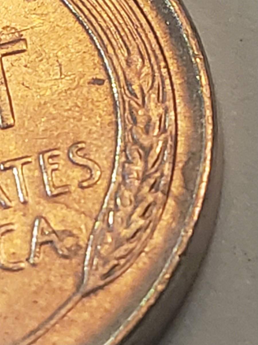 1954-P-LWC-Need-Help-With-Error-Identification