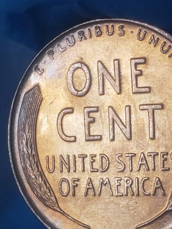 1938-LWC-Grading-And-Opinions