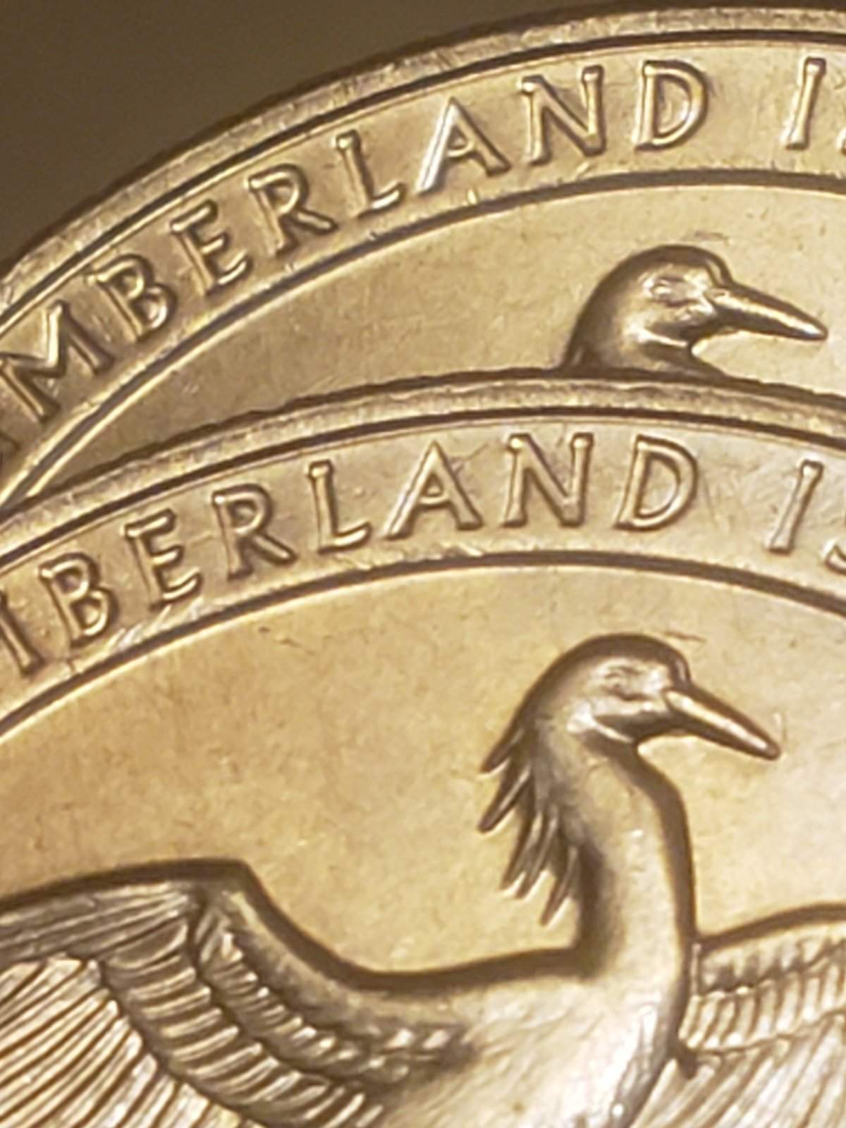 2018-D-Cumberland-Island-DDR?
