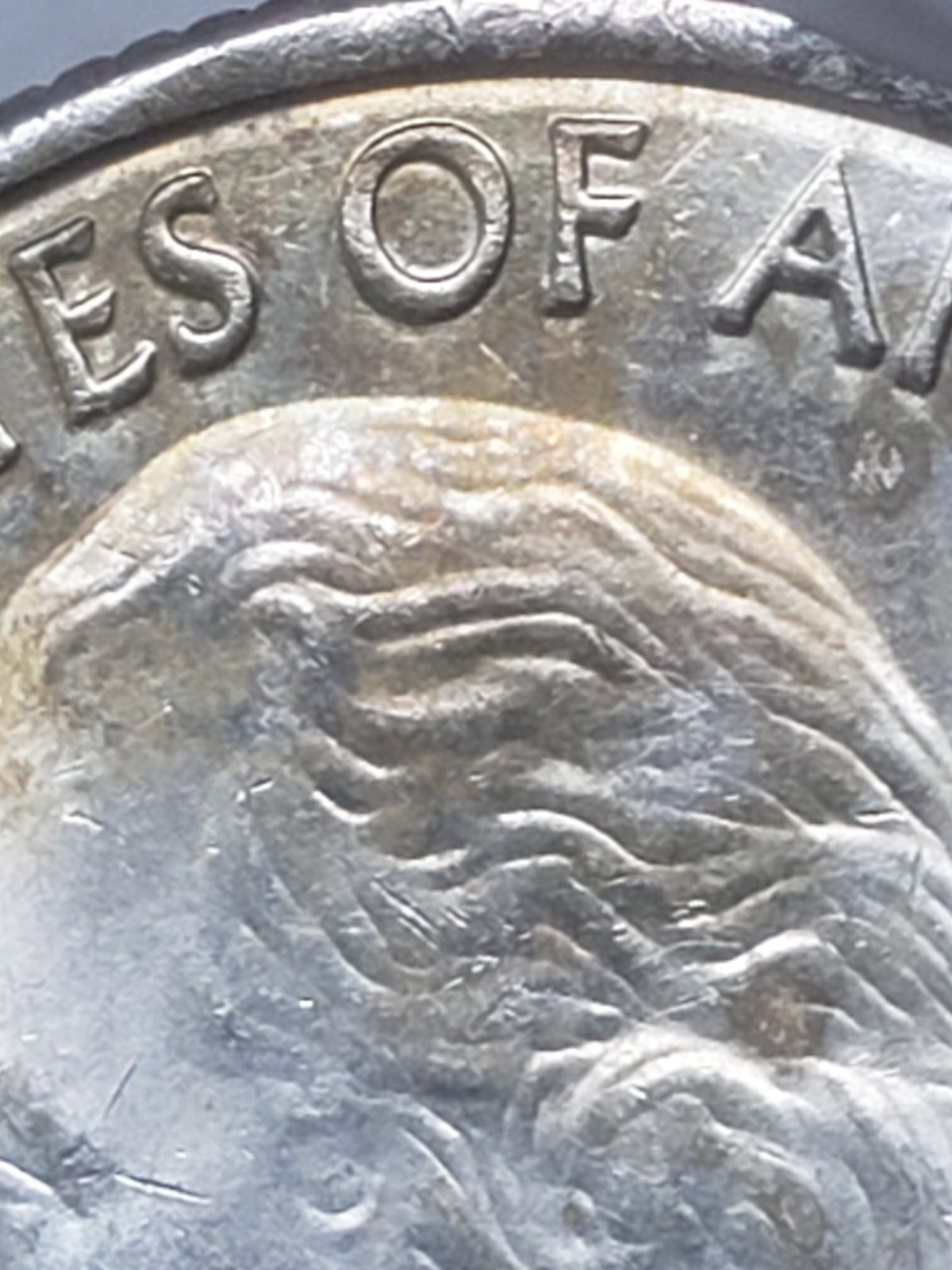2020-P-Salt-River-Bay-Rim-To-Rim-Die-Break?