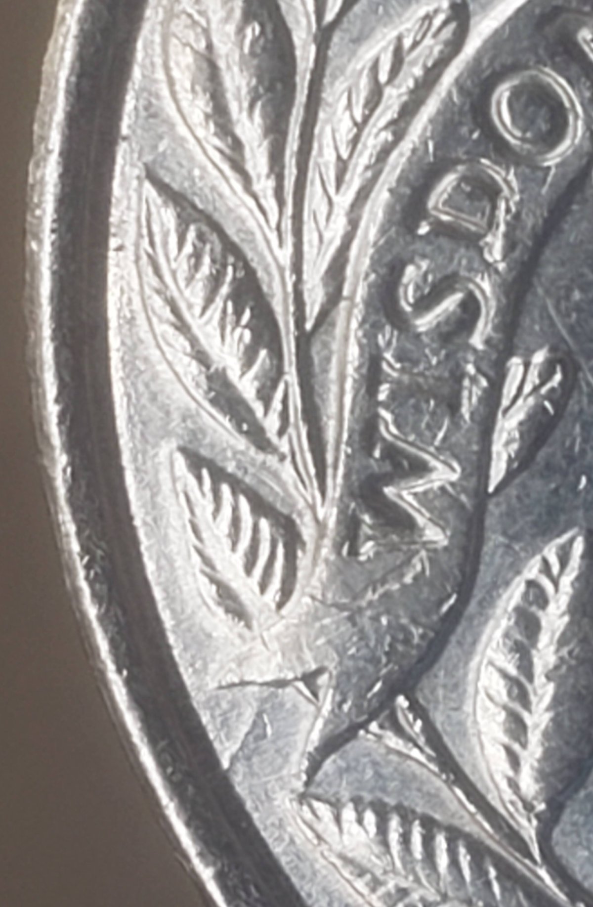 1999-Georgia-Die-Cracks-Or-Cracked-Die?