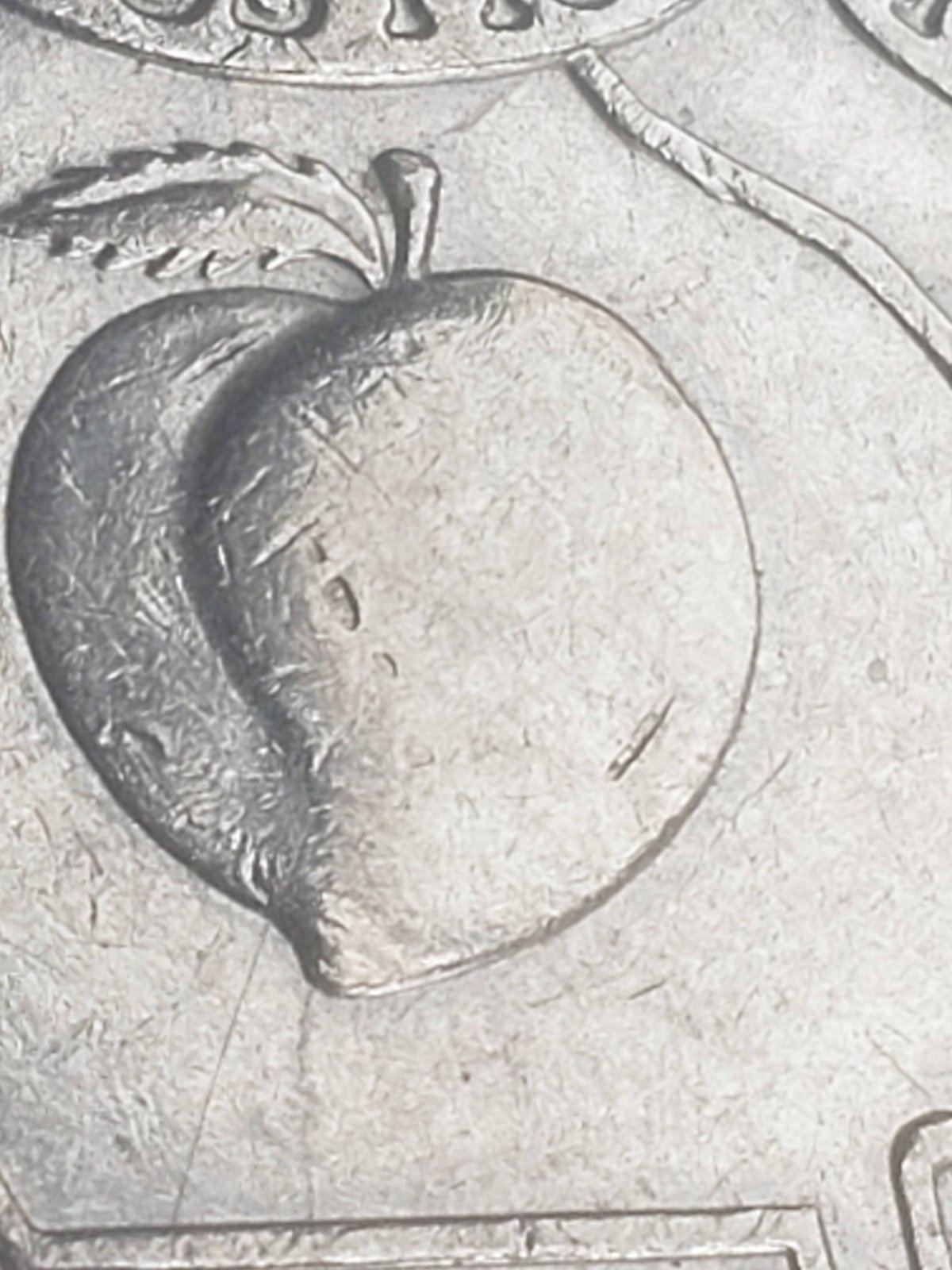 1999-Georgia-Die-Cracks-Or-Cracked-Die?