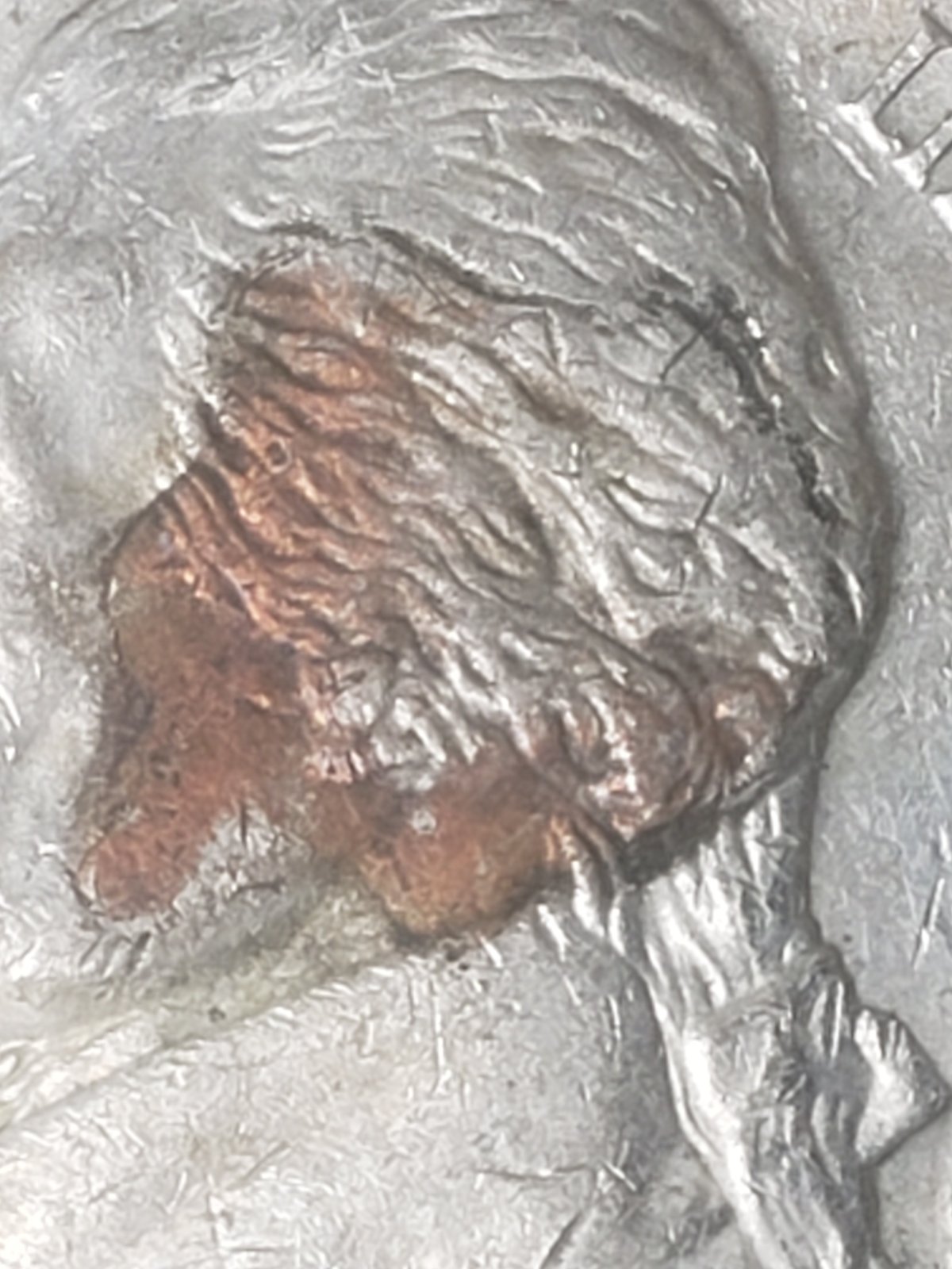 Need-Help-With-Identifying-2001-D-Nickel-With-Copper