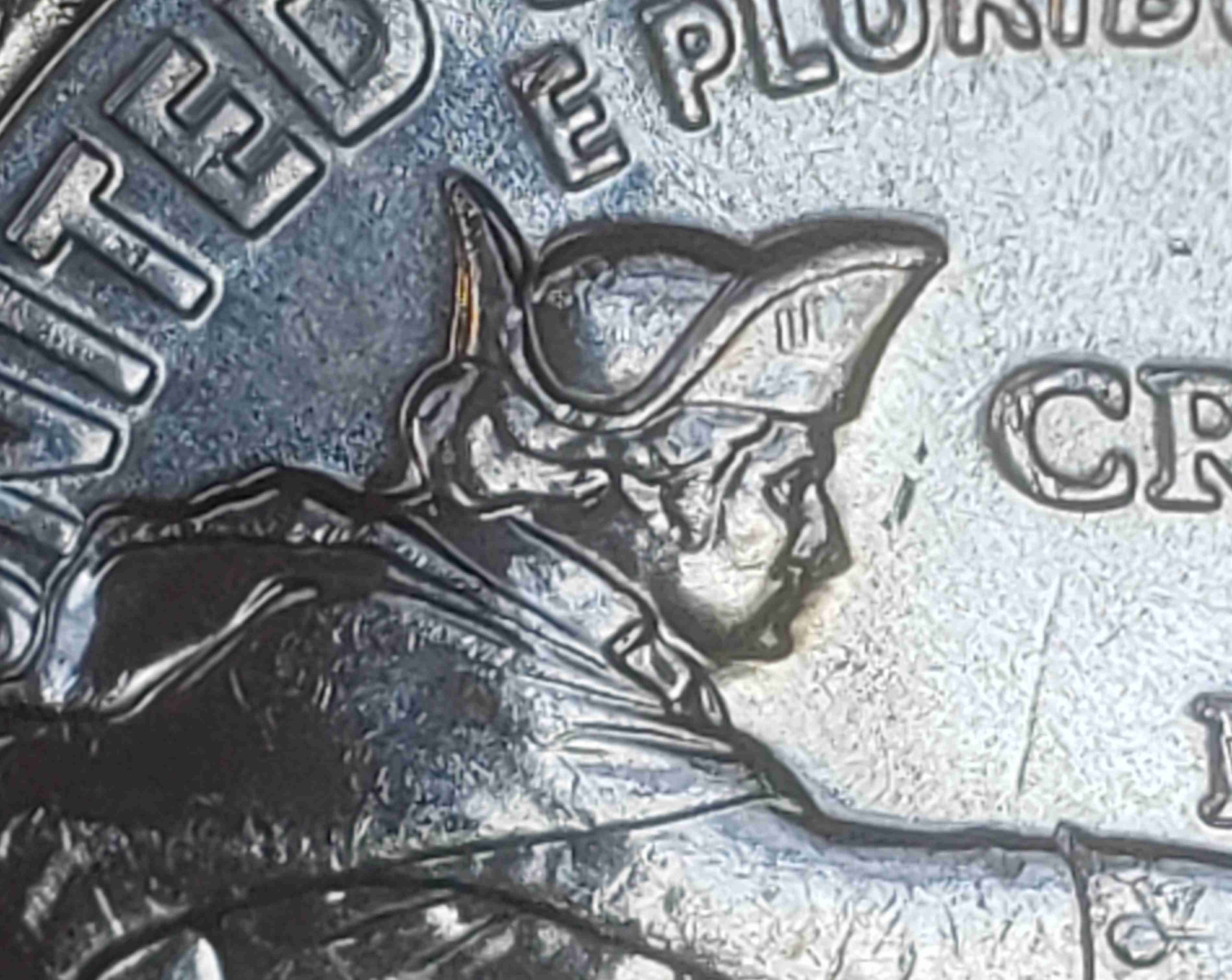 2021-D-Washington-Crossing-The-Delaware-DDR