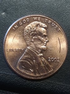 Is-There-A-2002-LMC-Double-Ear-Variety?