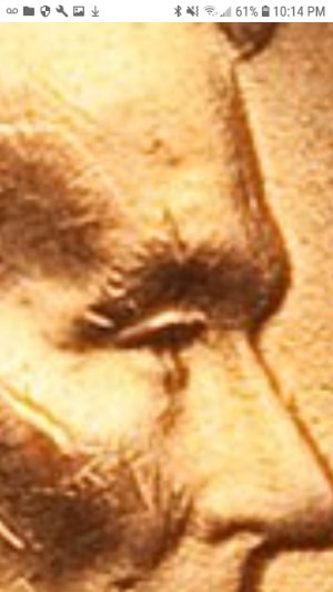LWC-With-The-Same-Eyebrow-Markings,-What-Causes-This?