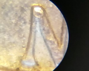 Help-Needed-With-1959-D-Jefferson-Nickel