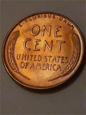 Last-1955-D-LWC-Out-Of-A-BU-Roll..prettiest-Ive-Found!
