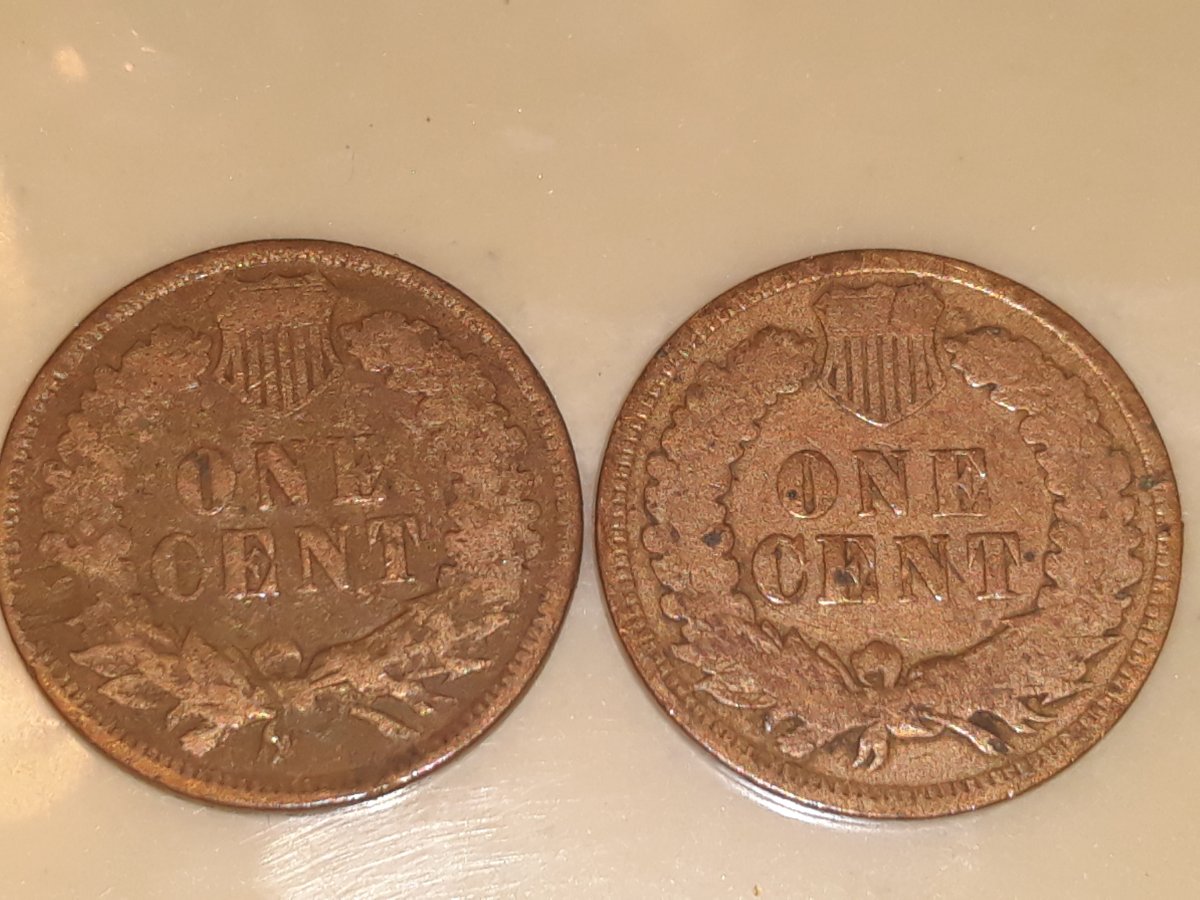 Two,-1899-Indian-Cent-Pennies..-Completely-Different-Look?