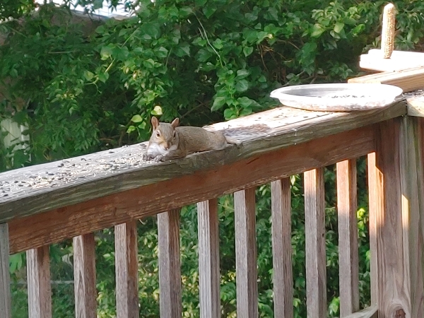 Feel-Like-You're-Being-Watched?