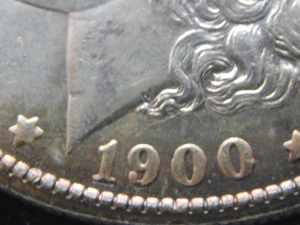 Need-VAM-Help--1900-O