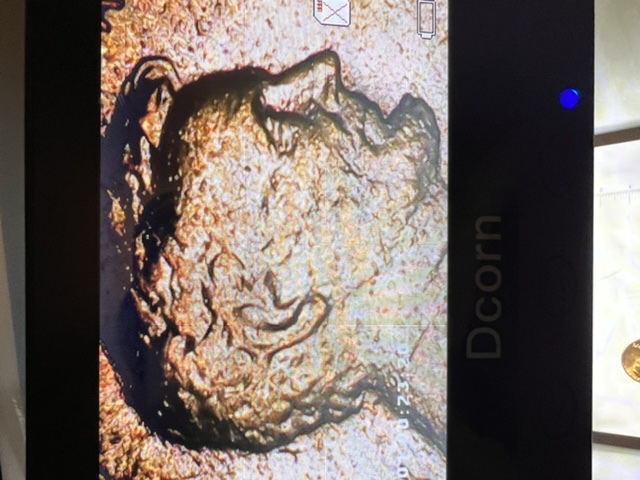1988-D-Lincoln-Cent-Maybe-Double-Ear
