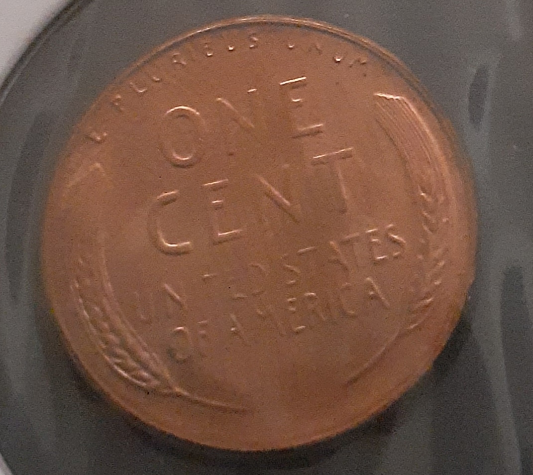 Would-You-Grade-Any-Of-These-Coins?