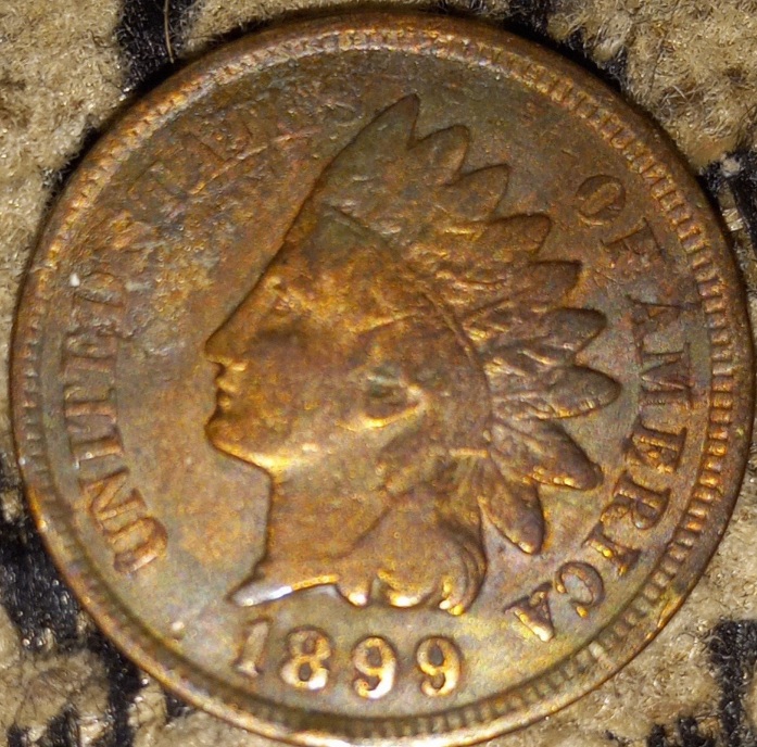 Is-This-1899-Indian-Head-Penny-Have-Any-Value.