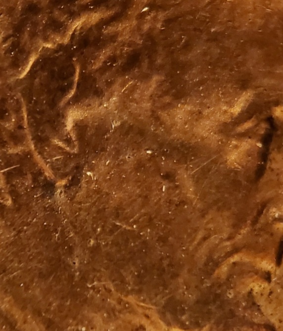 1983-D-Lincoln-Cent-Doubled-Ear.