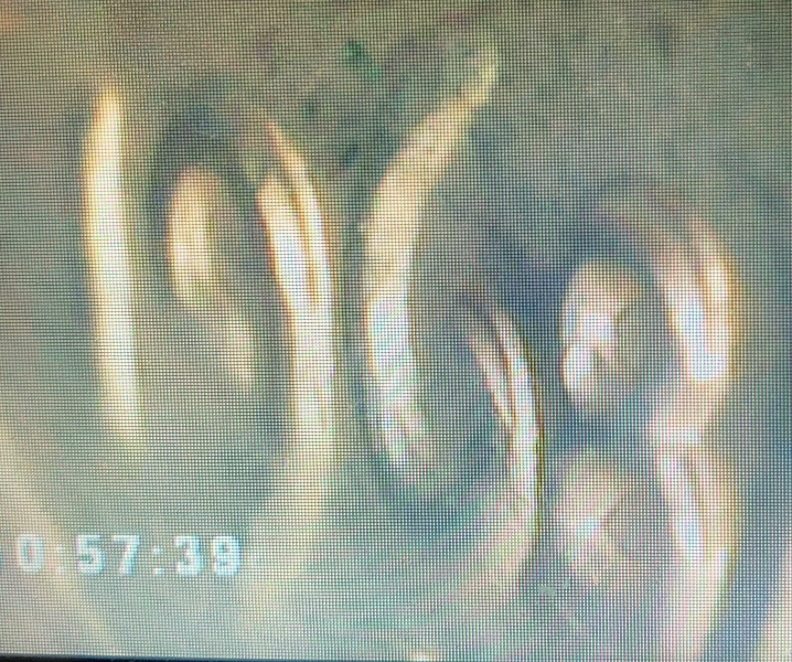 Help-Understanding-If-Anything-Is-DD-On-Obverse-Of-This-1968-S-Regular-Strike-Cent