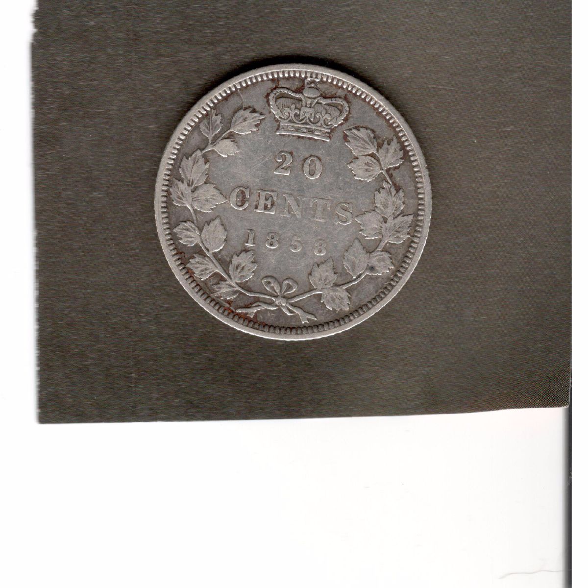 20-Cent-Grade?-Thank-You
