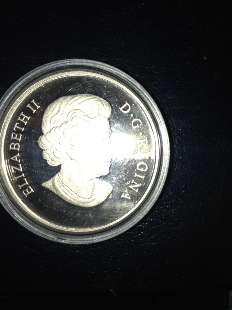 2013-$25-Caribou-Error?