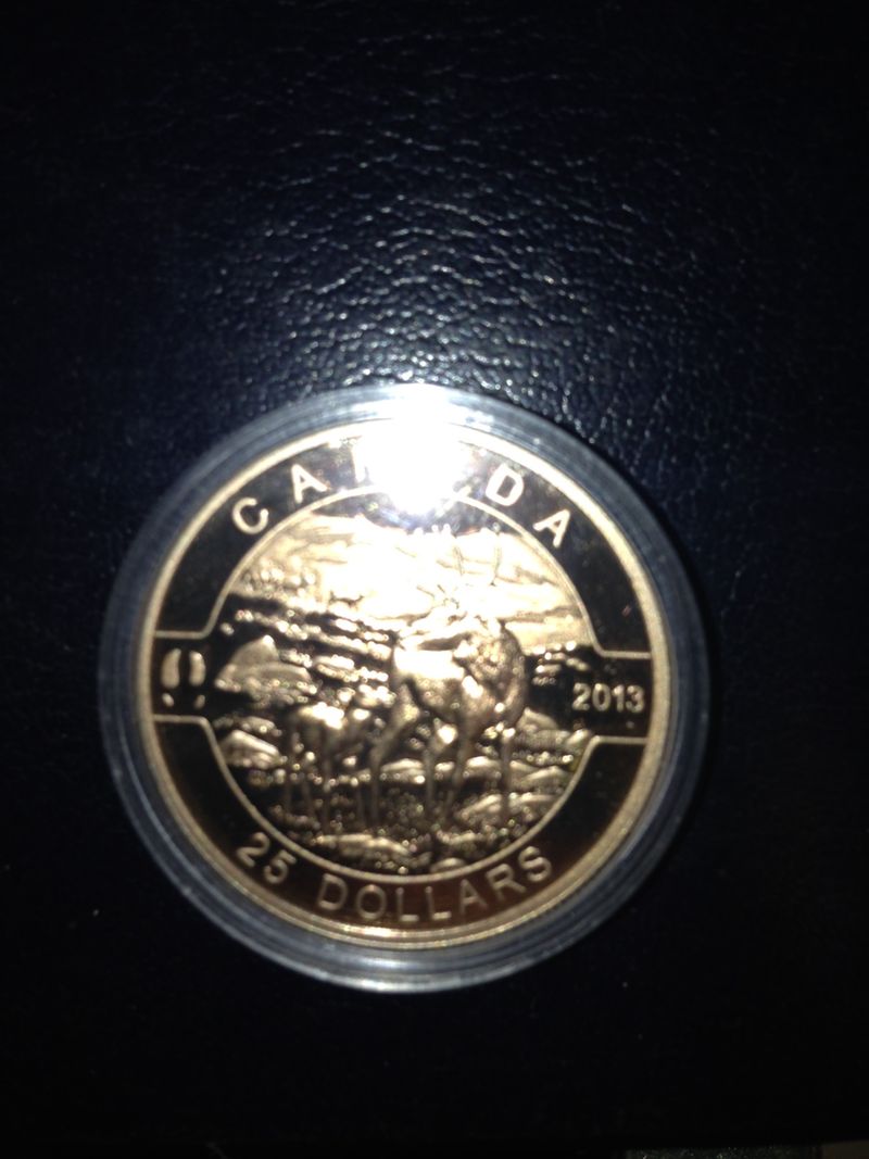 2013-$25-Caribou-Error?