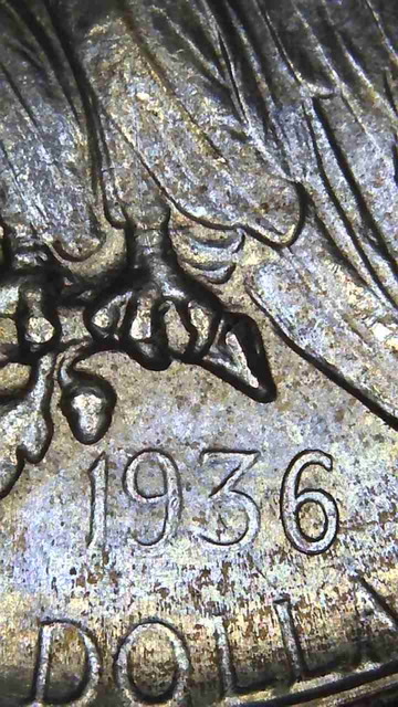1936-Texas-Centennial-Half-Dollar-For-Grading