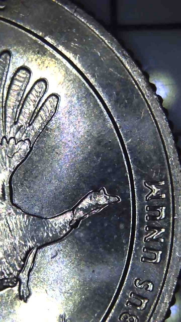 2015-D-Territory-Kisatchie-Possible-Error-?