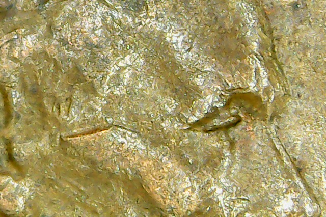 1944-D-Cent-DDO-008?-Need-Help-Identifying