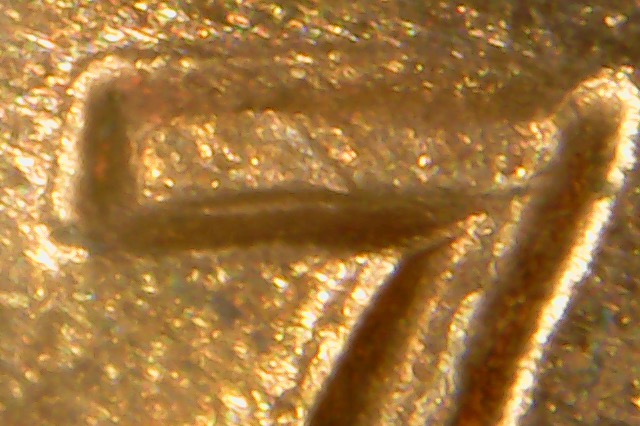 Need-Help-With-This-1970-S-Cent-DDO