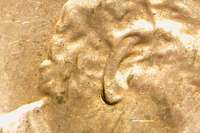 2015-D-LSC-DDO-002-Double-Earlobe