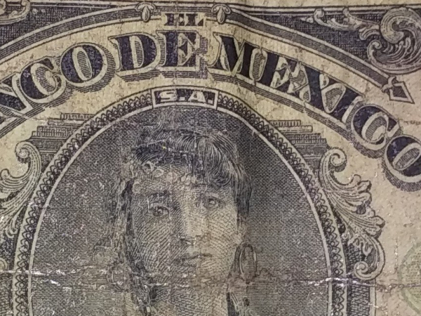 My-Only-Female-Bill-My-First-Foreign-Bill