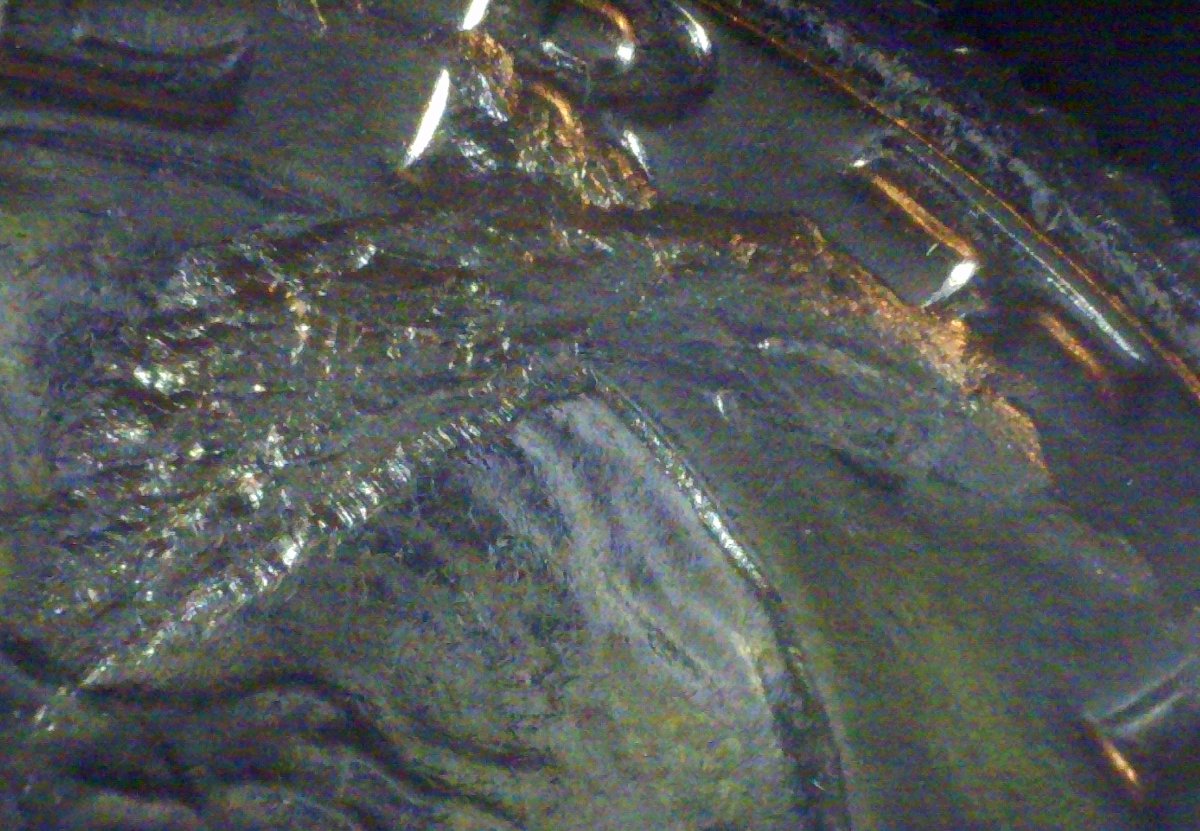 1981-Quarter-Pristine-In-Cello-But-Struck-Through?
