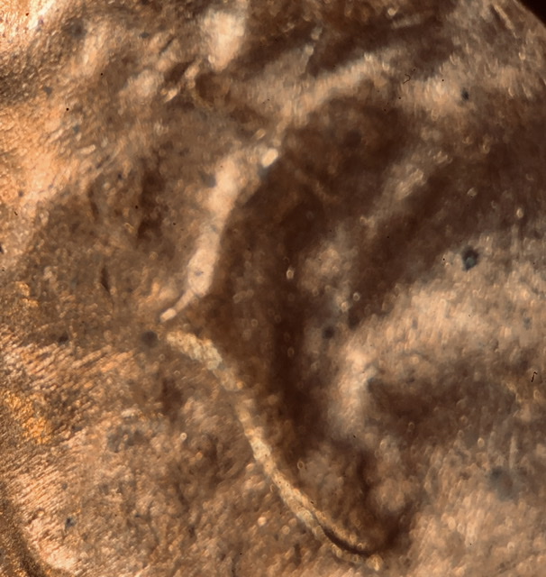 1971-D-LMC-Spike-Head