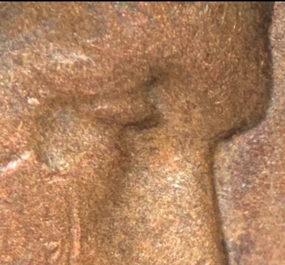 1963-D-LMC-Double-Eyelid