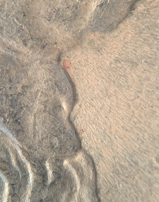 1886-Morgan-Dollar.-I-Need-Help-With-VAMs.