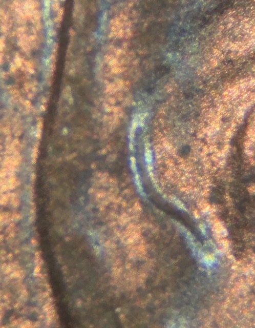 1997-Lincoln-Memorial-Cent.-Ufo.
