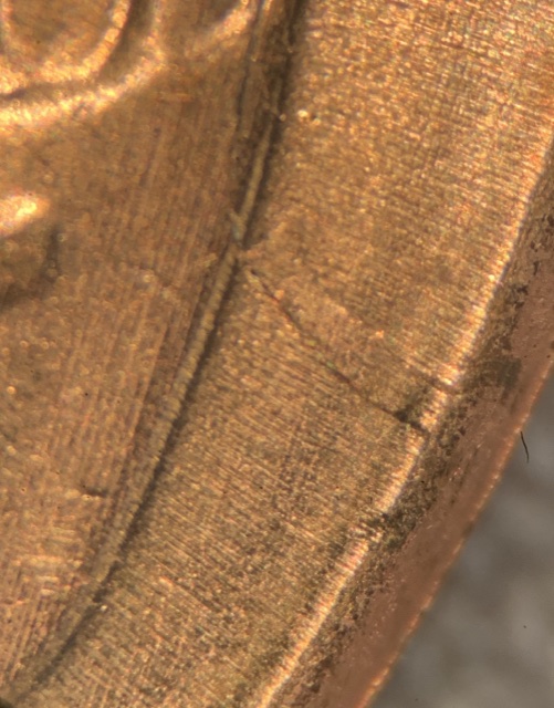 2017-D-Lincoln-Shield-Cent.-Cud-?