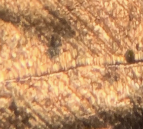 2017-D-Lincoln-Shield-Crack