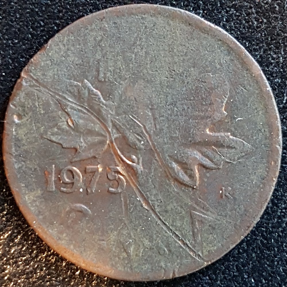 Split-Planchets---Showcase-And-Discussion