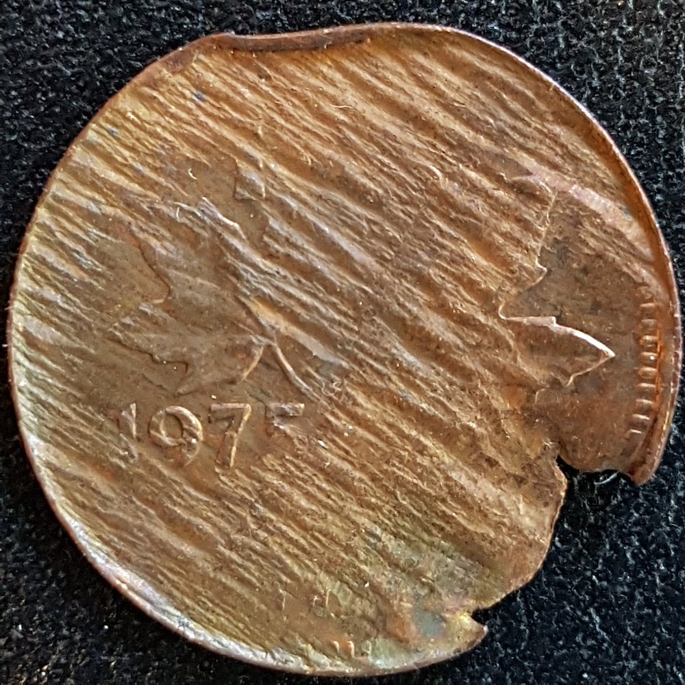 Split-Planchets---Showcase-And-Discussion