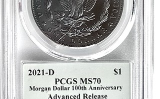 2021-D-Morgan-