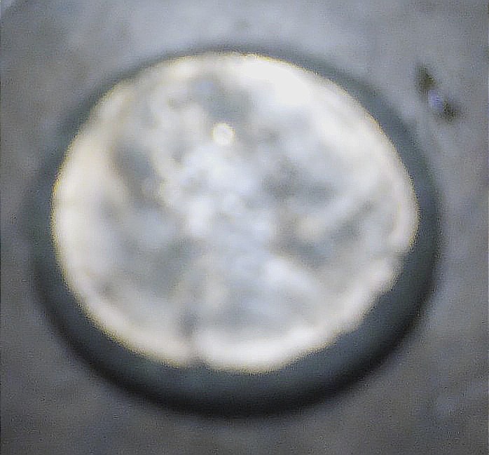 2.2-Gram-Lincoln-Cent-Identification