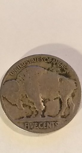 Dateless-Buffalo-Nickel