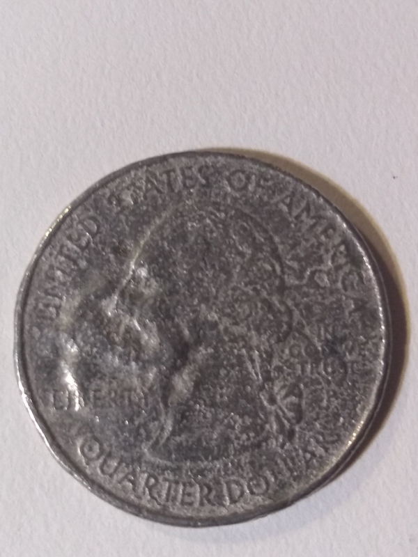 2006-Nevada-State-Error?-Or...?