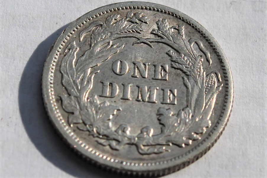 1891-Seated-Liberty-Dime!-Repunched-Date?-Grading-Opinion!
