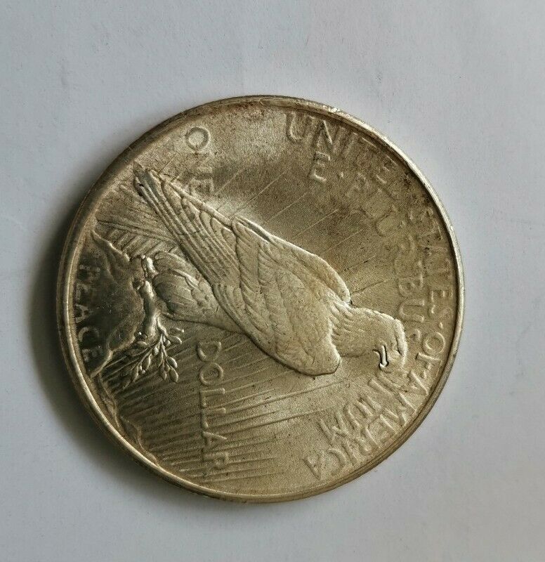 1924-Peace-Dollar,-Grading-Opinion-Please?