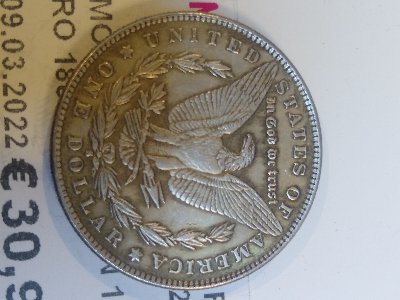 Fake-Morgans?-I-Think-So-.
