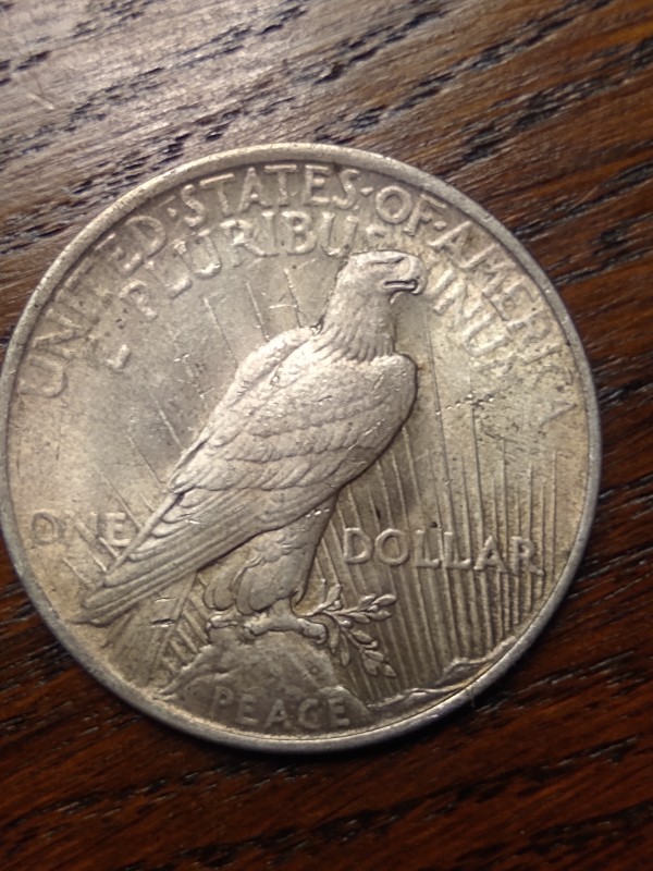 1923-Peace-Dollar;-Acetone-Bath-Or-Leave-It?