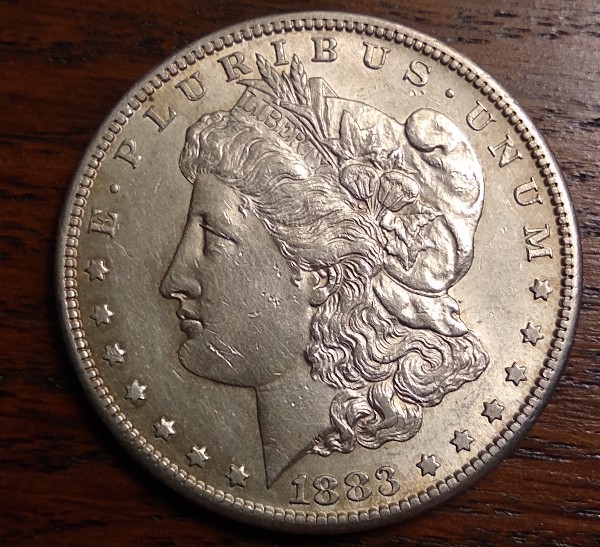 1883---S-Morgan-Dollar-Thoughts-And-Opinions
