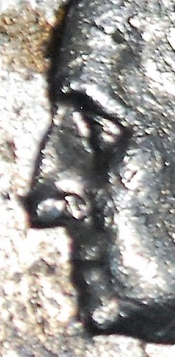 1994-D-Quarter-Nose-Clipped-Error