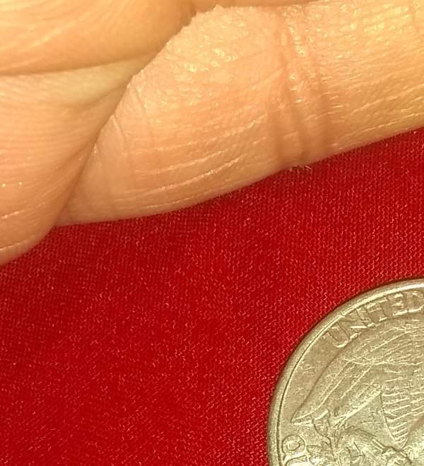 1994-P-Washington-Quarter-Error